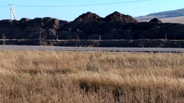 ТРАССА ТАВРИДА Начали копать 4k Video