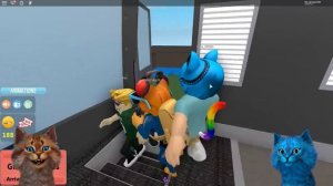 ВЕСЁЛЫЕ ПРИКЛЮЧЕНИЯ В РОБЛОКС КОТИК ИГРОМАН И КОТЁНОК ЛАЙК ROBLOX