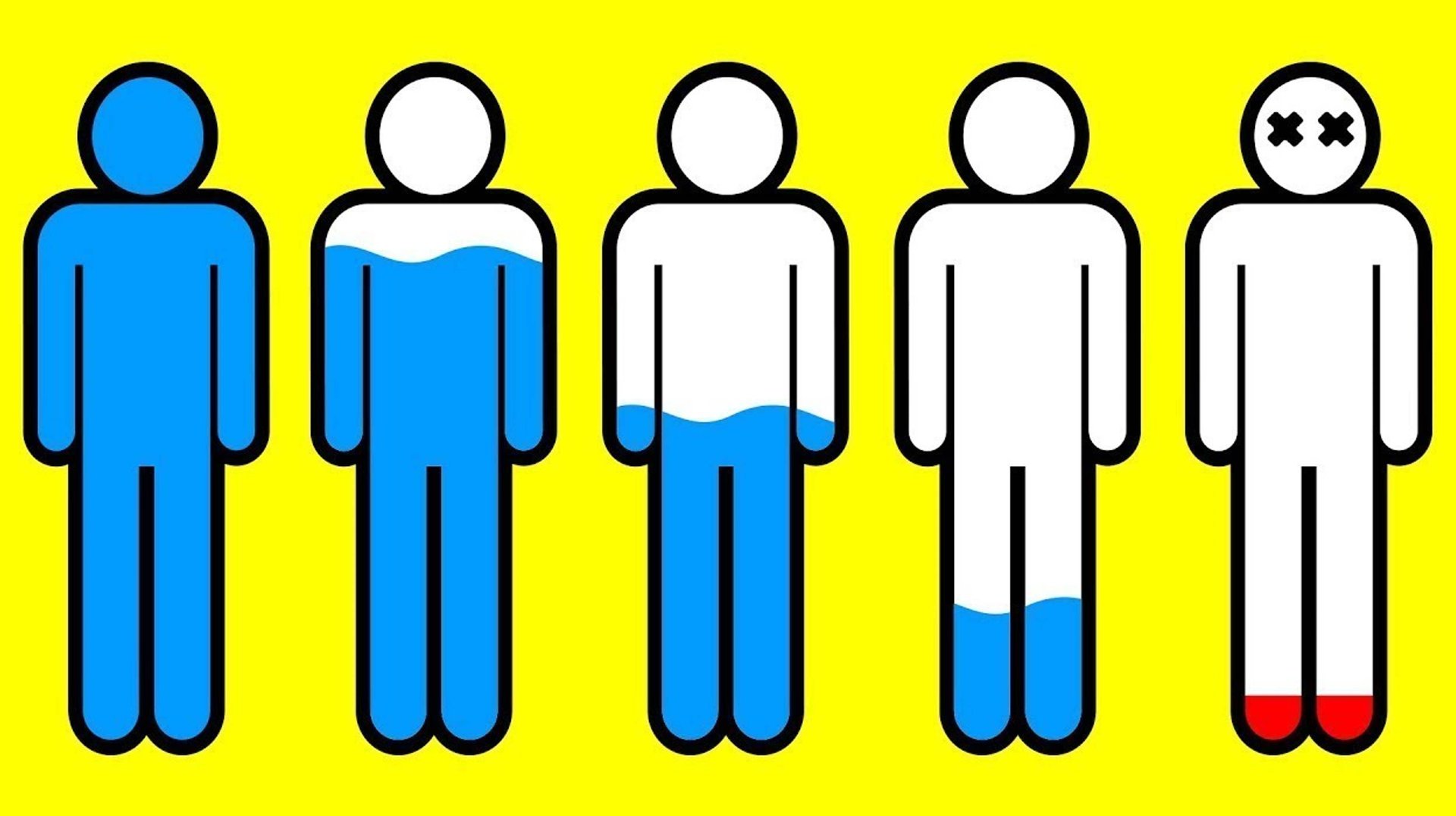 Что Будет, Если Не Пить Воду Целый День? смотреть онлайн