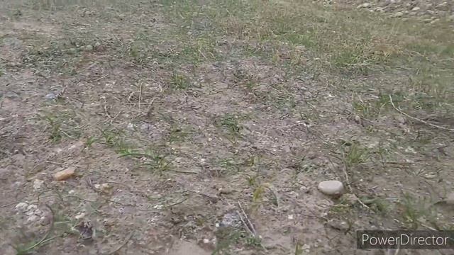 +992555055080 гусфандхо аз пахта баромад куйлар пахтадан чикди смотреть онлайн