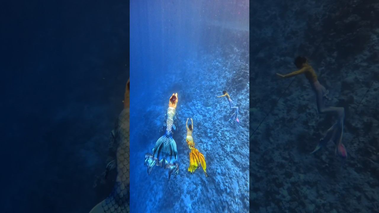 Русалки существуют! #фридайвинг #freediving #mermaid смотреть онлайн