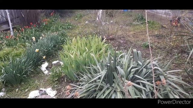 КУПИЛИ ДОМ НА ЮГЕ/ЗВУКИ ПРИРОДЫ/БРАТАН ПРИЕХАЛ/РАБОТЫ В САДУ/КТО ХОРОШО РАБОТАЕТ ТОТ ЕСТ И ПОЕТ🤣😊 смотреть онлайн