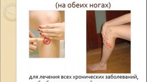 три точки здоровья и долголетия массаж хэ гу нэй гуань  цзу сань ли