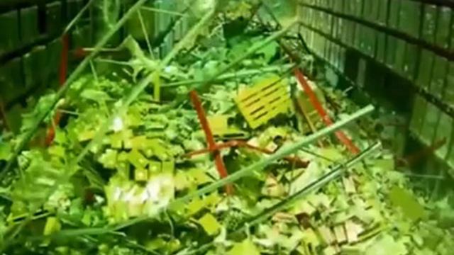 Обрушение стеллажей на складе смотреть онлайн