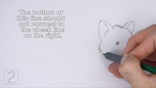 How to Draw a Corgi (Cartoon) смотреть онлайн