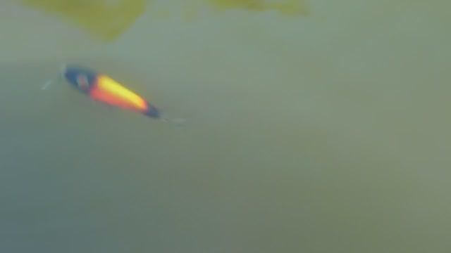 Проводка джеркбейта Jockey проект Jerkmania и LureWalк смотреть онлайн