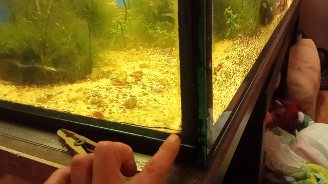 АКВАРИУМ 275 НА 57 смотреть онлайн