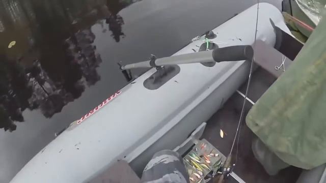 Необычные случаи на рыбалке! смотреть онлайн