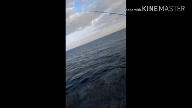 Рыбалка в городе Алуште. Ставрида так и прёт! смотреть онлайн
