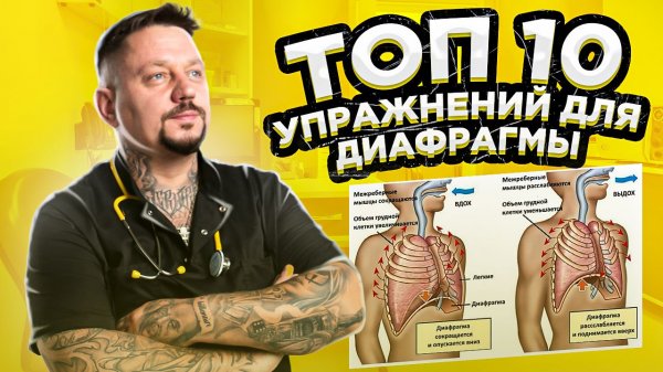 ТОП 10 упражнений для диафрагмы
