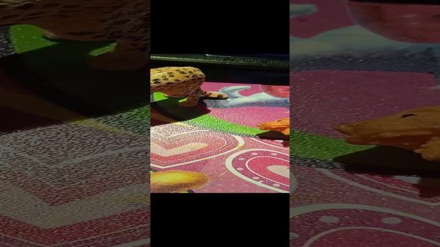 приколы 2 смотреть онлайн