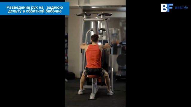 Разведение рук на заднюю дельту в обратной бабочке смотреть онлайн