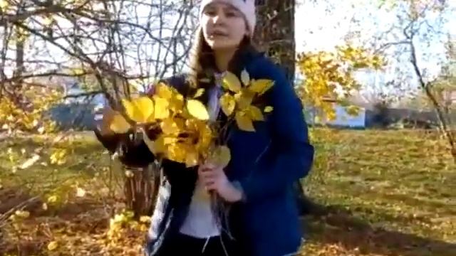 П. Родичев "Придумай мне такое слово" читает ученица 9 класса МБОУ Новополевкой ООШ Трофимова Алина смотреть онлайн