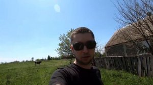 Как узнать живой вес быка или коровы по промерам и таблице без весов