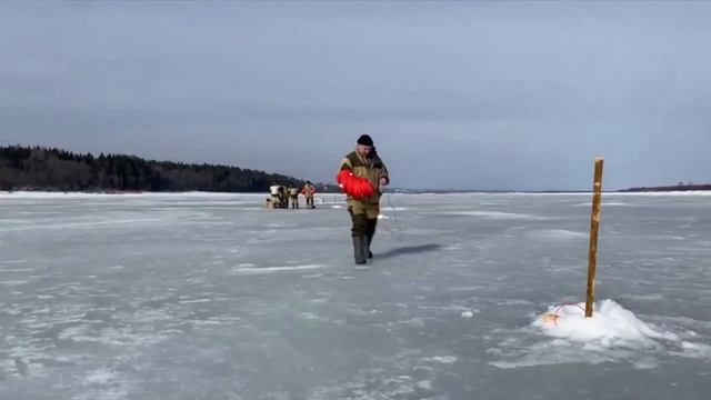 МЧС Дайджест 28_03 смотреть онлайн