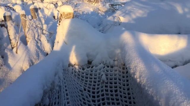 Узоры в мороз. Причуды природы ,Бассейн из осины . Купель . смотреть онлайн