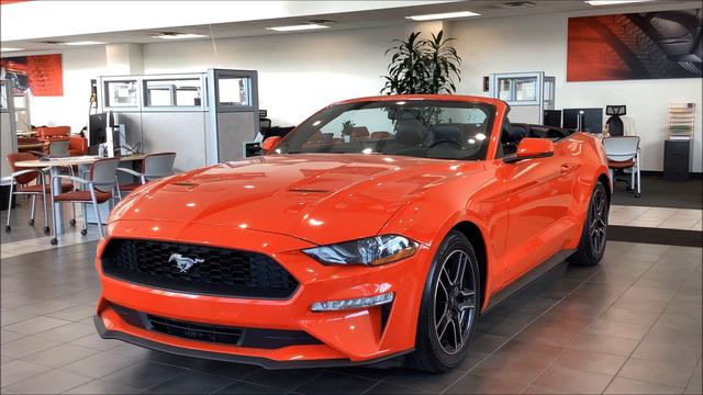 Pre-Owned 2020 Ford Mustang EcoBoost in Houston, TX | Sterling McCall Toyota смотреть онлайн