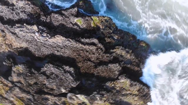 The Baja Blast / Ducati Multistrada V4 / @motogeo Adventures смотреть онлайн