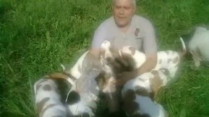 Нашим Черничникам в день их Рождения, подарок!