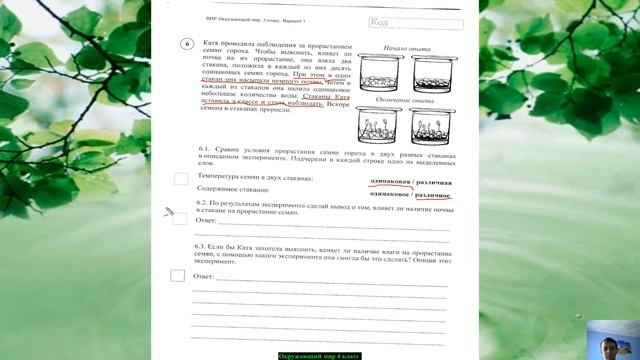 ВПР Окружающий мир 4 класс 2020 смотреть онлайн