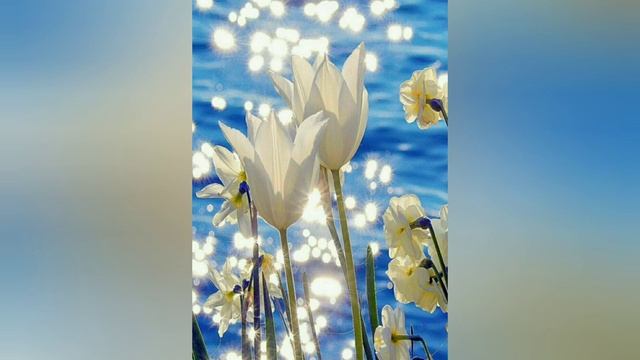 29 апреля - Арина - Ирина - урви берега. смотреть онлайн
