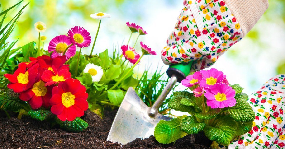 ВЫСТАВКА-ПРОДАЖА "ДАЧА, САД, ЛАНДШАФТ" НА ВДНХ !!! НЕ РЕКЛАМА!!! смотреть онлайн