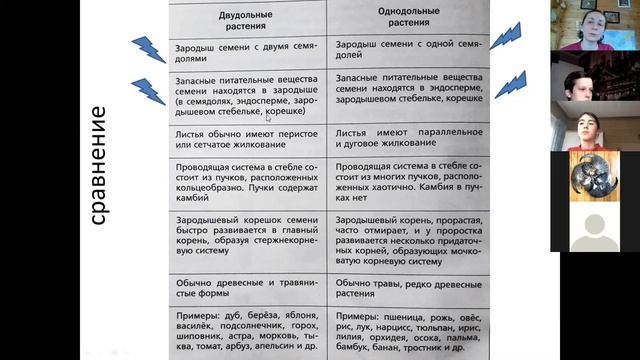Классы однодольные и двудольные для 6 класса Филипповской школы смотреть онлайн