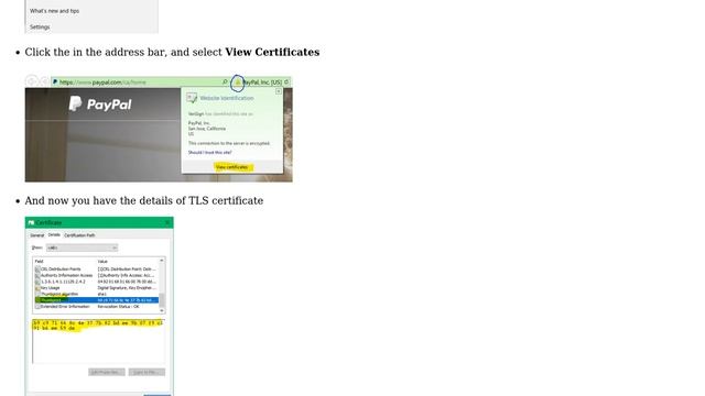 How to view SSL Certificate details on Chrome when Developer Tools are disabled? (3 Solutions!!) смотреть онлайн