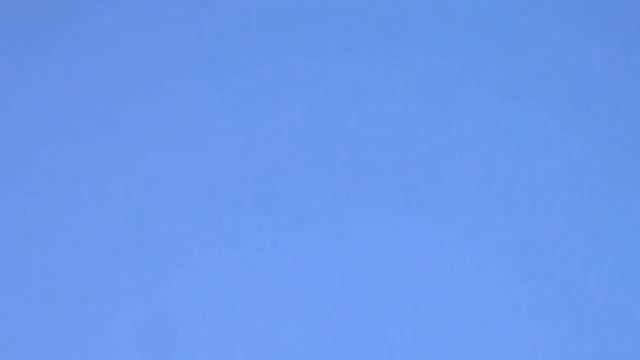 Хасан касымов Алматы, Казахстан . Селекционные голуби смотреть онлайн