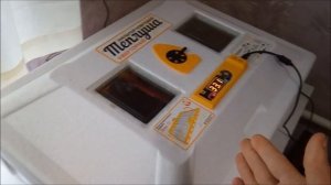 Температура яйца в инкубаторе на 13-й день.Проветрили и забрали яйца.Инкубация бентамок продолжаетс