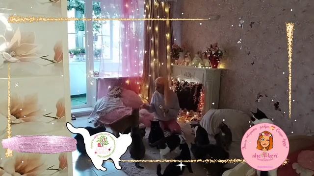 ? Как банда из 16 хвостов получила в подарок вкусняшки от подписчика ?? смотреть онлайн