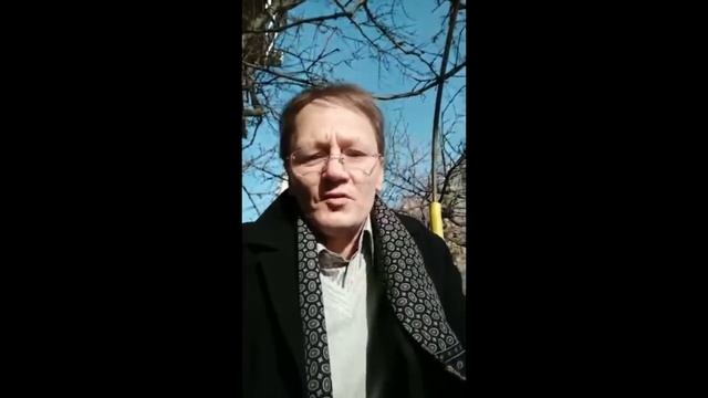 Снегирь ALL BEE BACK смотреть онлайн
