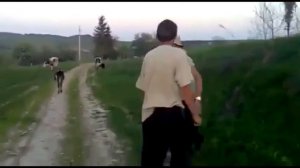 Подборка жёстких драк|Уличные драки.