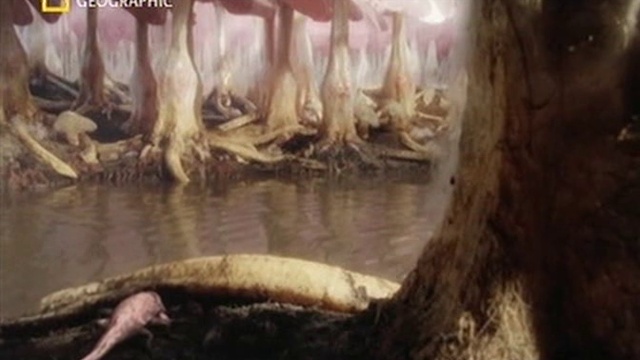 National Geographic - La Vie Extraterrestre - Episode 1/2 - Sat-Rip