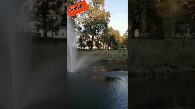 Осень золотая~ Н. КАРАЧЕНЦЕВ и ГАЛИНА ЖУРАВЛЁВА смотреть онлайн