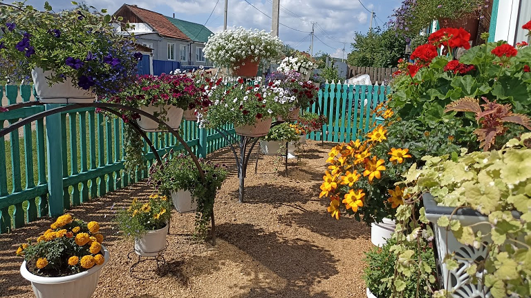 Сибирь. Часть 1. Обзор цветов на усадьбе на 1 августа 2023г. смотреть онлайн