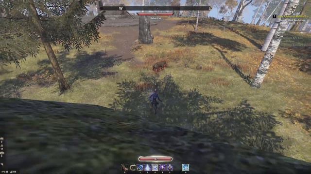 ESO Combat Basics for Beginners - Elder Scrolls Online, how to block, bash, interrupt and more! смотреть онлайн