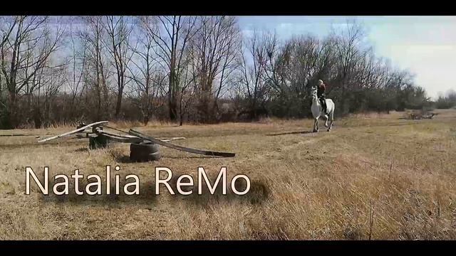 Конная тренировка смотреть онлайн