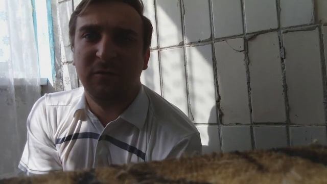 Натуральное кормление собак и кошек смотреть онлайн