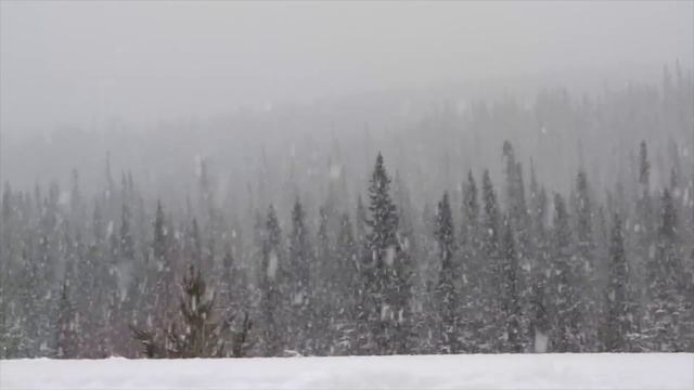 Какая лютая пурга - христианская поэзия / стихи под музыку смотреть онлайн