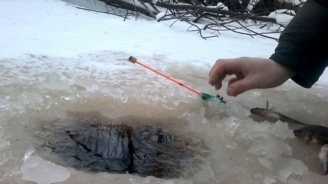 Рыбалка 2014 г. на озере Цынгинский Сор и речка Вах. смотреть онлайн