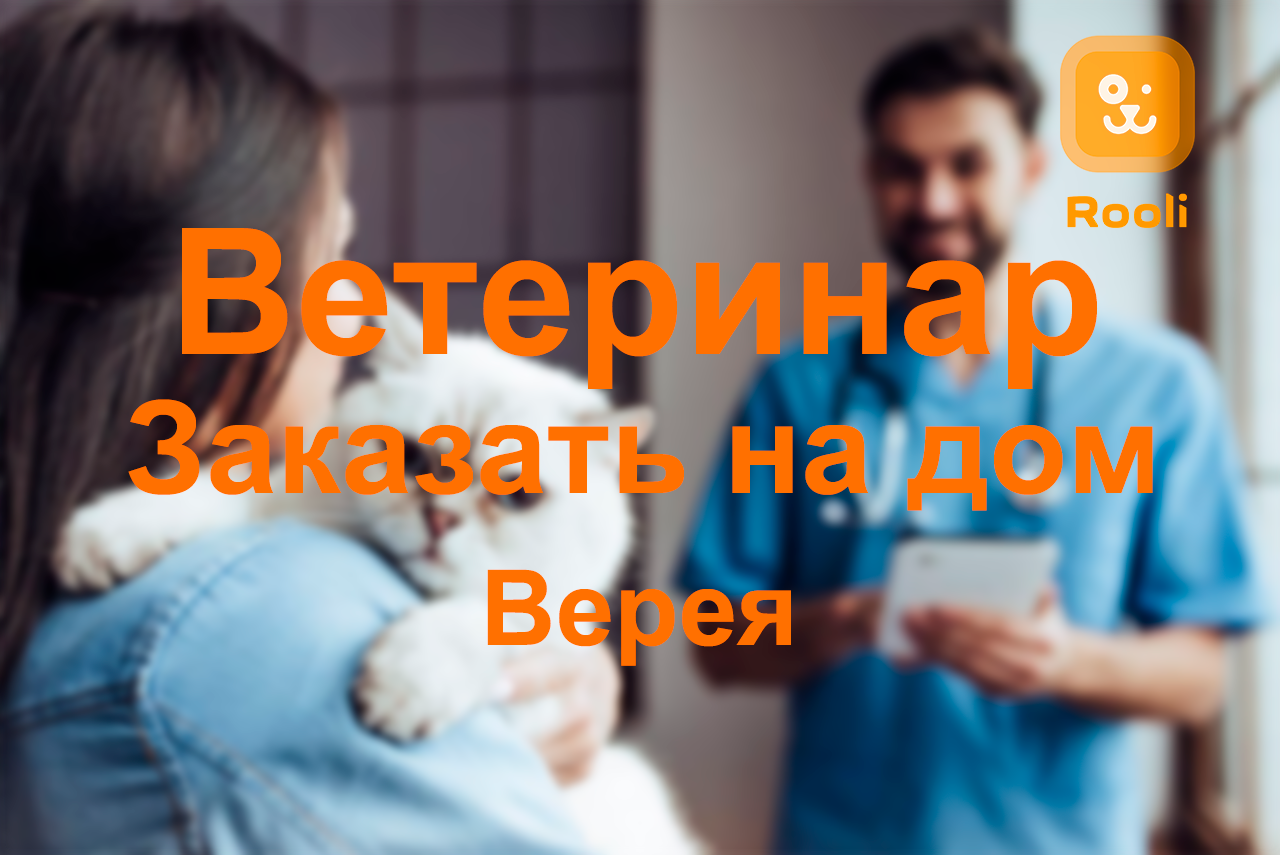 Ветеринарная помощь на дому в Верее: когда вашему питомцу нужен особый уход смотреть онлайн