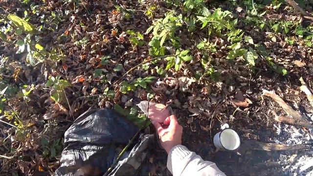 Ламповая ОСЕННЯЯ РЫБАЛКА на спиннинг!!! смотреть онлайн