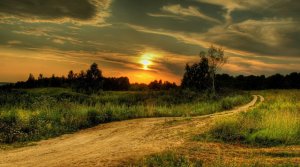 Владимир Трошин. Подмосковные вечера