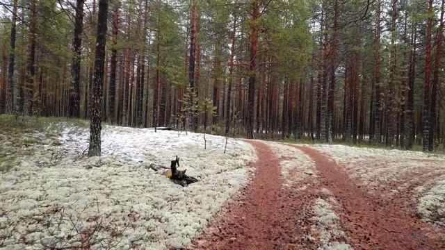 Югра осень 2018 смотреть онлайн