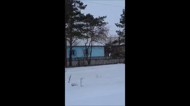 Новосибирская область Татарский район село Неудачино