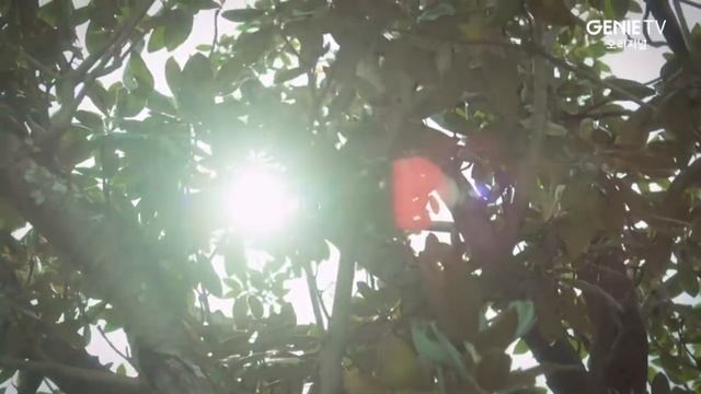 Дорамы НОЯБРЬ 2022 Новинки ДОРАМ за НОЯБРЬ 2022 Младший сын чеболей Позвоните моему агенту Кто-то