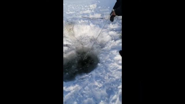 Рыбалка на сети зимой смотреть онлайн
