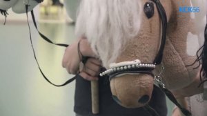 Хоббихорсинг игрушечные лошадки и серьезные тренировки