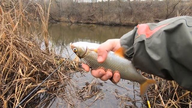Рыбалка в Запорожье! Ловим тарань на винегрет